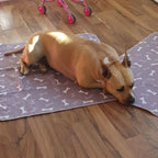 PuppyPad